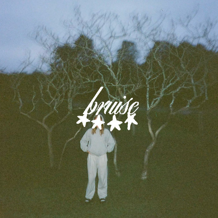 Cover of the album Bruise by DJ Cinéma Quartier Latin
